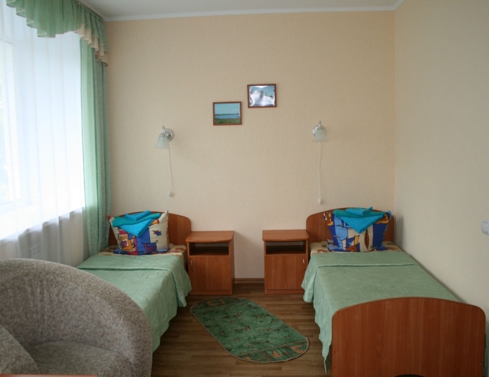 Стандарт 2-местный 1-комнатный - Санаторий «Сосновая роща» Искра